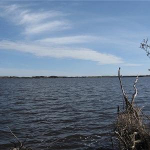 Photo #3 of 4161 Caratoke Highway, Barco, North Carolina 92.4 acres