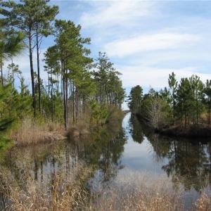 Photo #8 of 4161 Caratoke Highway, Barco, North Carolina 92.4 acres
