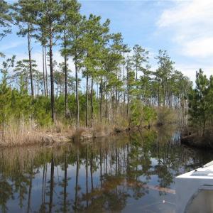 Photo #10 of 4161 Caratoke Highway, Barco, North Carolina 92.4 acres