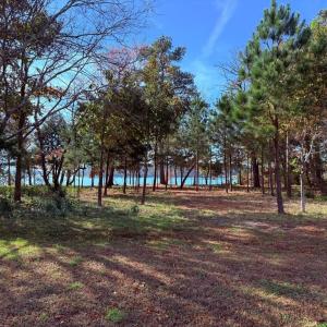 Photo #3 of 124 Creekside Lane, Cape Charles, Virginia