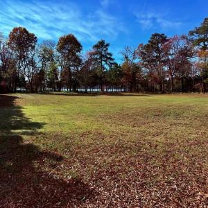 Photo #4 of 124 Creekside Lane, Cape Charles, Virginia