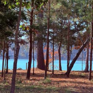 Photo #2 of 124 Creekside Lane, Cape Charles, Virginia