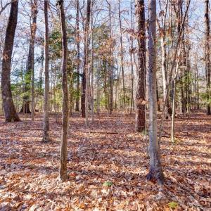 Photo #6 of Lot 24 Ennisdale Drive, Smithfield, Virginia 5.1 acres