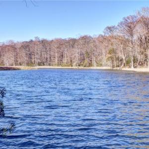 Photo #5 of Lot 24 Ennisdale Drive, Smithfield, Virginia 5.1 acres