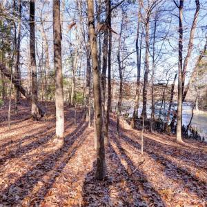 Photo #7 of Lot 24 Ennisdale Drive, Smithfield, Virginia 5.1 acres