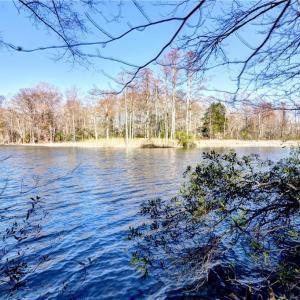 Photo #8 of Lot 24 Ennisdale Drive, Smithfield, Virginia 5.1 acres