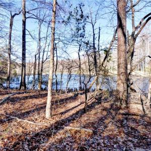Photo #2 of Lot 24 Ennisdale Drive, Smithfield, Virginia 5.1 acres