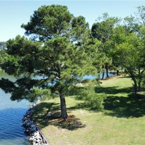 Photo #16 of 2.9ac Little England Road, Hayes, Virginia 2.9 acres