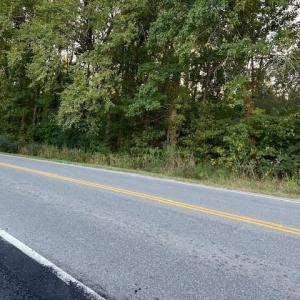 Photo #4 of 4500 Bennetts Pasture Road, Suffolk, Virginia 1.0 acres