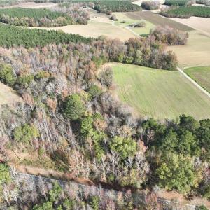 Photo #11 of 108 Purdy Road, Emporia, Virginia 108.1 acres