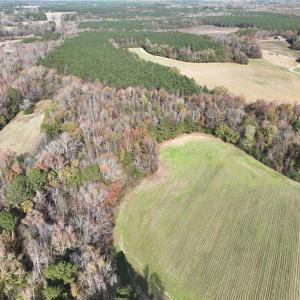 Photo #12 of 108 Purdy Road, Emporia, Virginia 108.1 acres