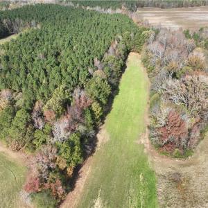 Photo #13 of 108 Purdy Road, Emporia, Virginia 108.1 acres
