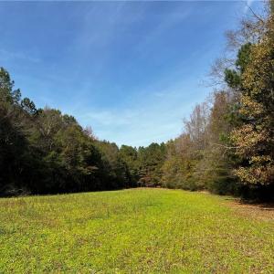 Photo #18 of 108 Purdy Road, Emporia, Virginia 108.1 acres