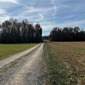 Photo #19 of 108 Purdy Road, Emporia, Virginia 108.1 acres