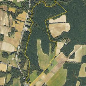 Photo #3 of 108 Purdy Road, Emporia, Virginia 108.1 acres