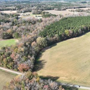 Photo #5 of 108 Purdy Road, Emporia, Virginia 108.1 acres