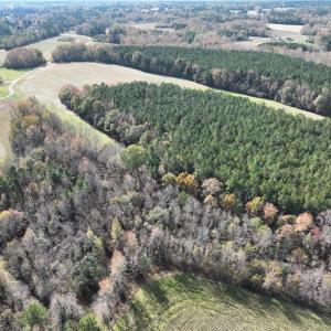 Photo #7 of 108 Purdy Road, Emporia, Virginia 108.1 acres