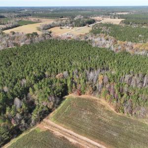 Photo #8 of 108 Purdy Road, Emporia, Virginia 108.1 acres