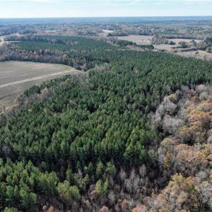 Photo #9 of 108 Purdy Road, Emporia, Virginia 108.1 acres