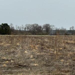 Photo #2 of 15+AC Caratoke Highway, Moyock, North Carolina
