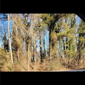 Photo #2 of 950 Portsmouth Boulevard, Suffolk, Virginia 4.1 acres
