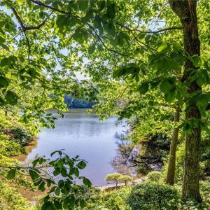 Photo #30 of Lot48 Oyster Cove Landing, Hartfield, Virginia 0.9 acres