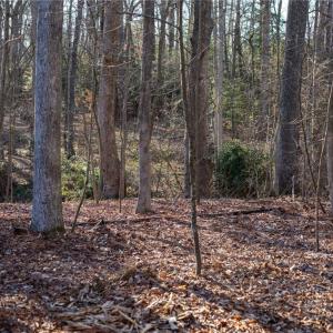 Photo #45 of 2.5AC Botetourt Avenue, Gloucester, Virginia 2.5 acres