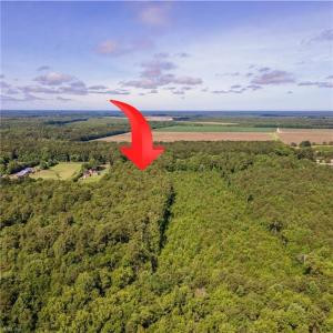 Photo #4 of 8 Shillelagh Road, Chesapeake, Virginia 11.5 acres