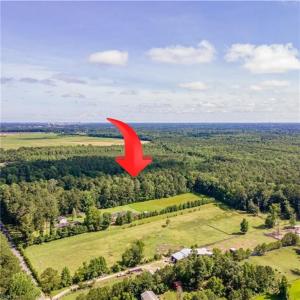 Photo #6 of 8 Shillelagh Road, Chesapeake, Virginia 11.5 acres
