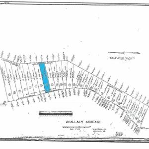 Photo #8 of 8 Shillelagh Road, Chesapeake, Virginia 11.5 acres