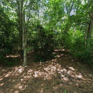 Photo #1 of 162 Beech Tree Trail, Southern Shores, North Carolina 0.7 acres