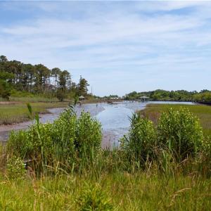 Photo #13 of 49 Bells Island Drive, Hampton, Virginia 11.6 acres