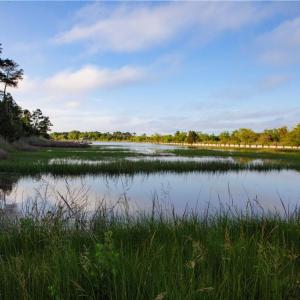 Photo #14 of 49 Bells Island Drive, Hampton, Virginia 11.6 acres