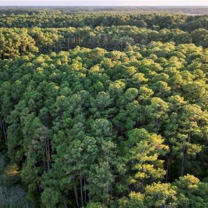 Photo #9 of 49 Bells Island Drive, Hampton, Virginia 11.6 acres