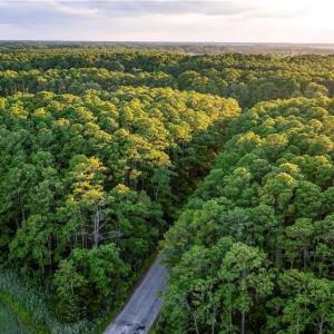 Photo #10 of 49 Bells Island Drive, Hampton, Virginia 11.6 acres