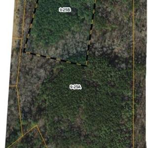 Photo #1 of 20+/- Acres Dwight Lane, Emporia, Virginia 20.0 acres