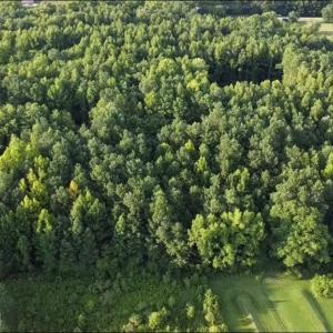 Photo #2 of 3233 Battlefield Boulevard, Chesapeake, Virginia 3.0 acres