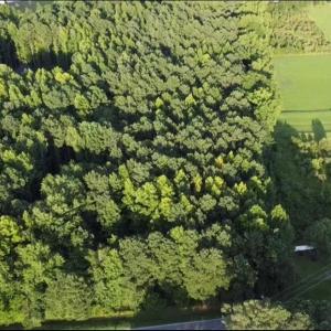 Photo #6 of 3233 Battlefield Boulevard, Chesapeake, Virginia 3.0 acres