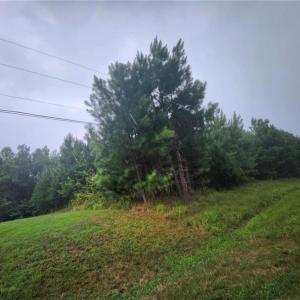 Photo #1 of .50+AC Splendors Gate Subd Lot 8, Hurt, Virginia 1.0 acres