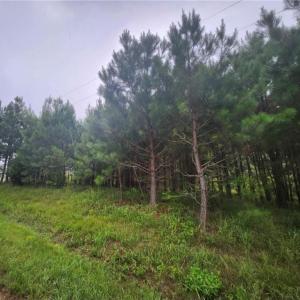 Photo #3 of .50+AC Splendors Gate Subd Lot 8, Hurt, Virginia 1.0 acres
