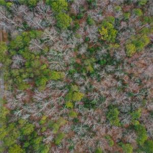 Photo #5 of 1.0+AC Eagle Trace, Lancaster, Virginia 2.0 acres