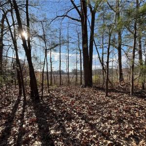 323 Vista Point Drive. Hampton VA. 23666.  Western view from property.