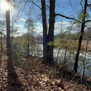 323 Vista Point Drive. Hampton VA. 23666. Western view from property.