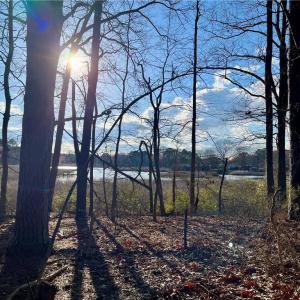 323 Vista Point Drive. Hampton VA. 23666. Western view from property.