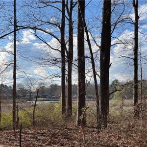 323 Vista Point Drive. Hampton VA. 23666. Northwestern view from property.