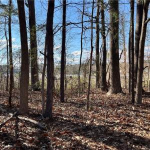 323 Vista Point Drive. Hampton VA. 23666. Western view from property.