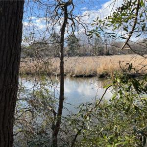 323 Vista Point Drive. Hampton VA. 23666.