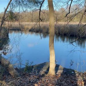 323 Vista Point Drive. Hampton VA. 23666. Eastern view from property. Great place for a floating dock.