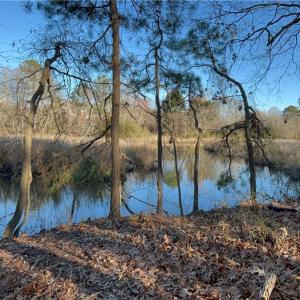 323 Vista Point Drive. Hampton VA. 23666. Eastern view from property.