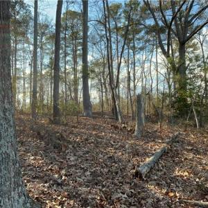 323 Vista Point Drive. Hampton VA. 23666. View of part of the likely home site area.